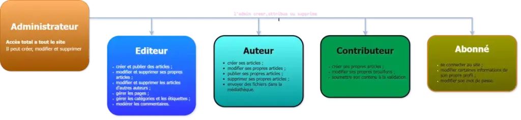 diagrame de visualisation des 5 roles (ou compte wordpress) diagramme expliquant les 5 roles par defaut existant dans wordpress
